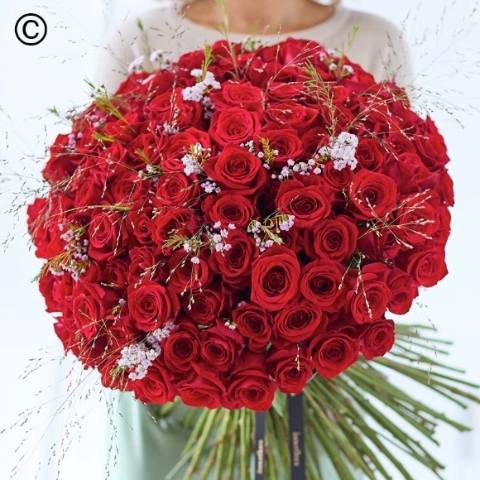 Luxury 100 Red Roses
